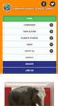 Mobile Screenshot of campaigncc.org
